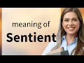 Sentient what is SENTIENT definition