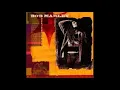 Burnin' and Lootin'   Bob Marley, feat  The Roots
