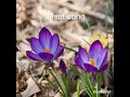 Download Lagu music mp3 juice song new songs sad song copyright free music.