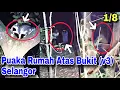 Download Lagu Paranormal Live *1/8 • v3* Arasz @ Puaka Rumah Tinggal Atas Bukit Selangor Malaysia S03E01