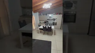                     دندنها