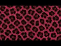 3 hour pink animal print screen