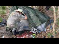 Venice Florida Scary Homeless Camp Of Death And Missing Persons Horrors Behind The Tree Line