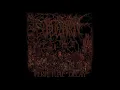 Download Lagu OBLITERATION \