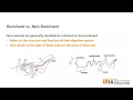 Sheep Skillathon Study Series Ruminant Digestive System