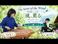 朝の連続テレビ小説　「風、薫る」劇中に流れる曲を耳コピして弾いてみた　The Scent of Wind