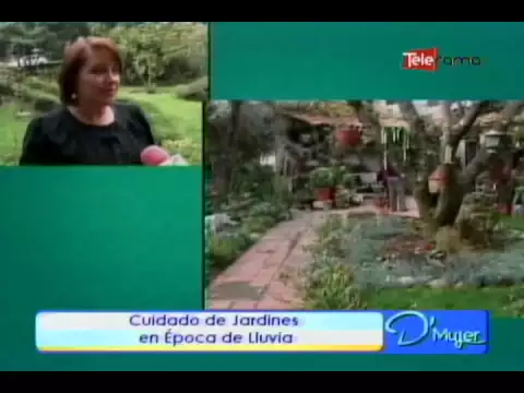 Cuidado de jardines en época de lluvia