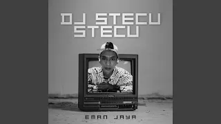dj stecu stecu