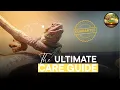 Complete Bearded Dragon Care Guide UPDATED