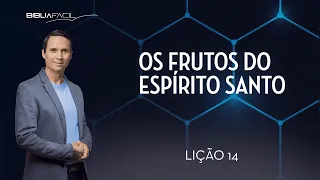 Tema 14: Os frutos do Espírito Santo