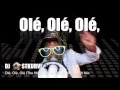 Ole Ole Ole (We Are The Champions) Soccer EM Song 2016  - DJ Ostkurve