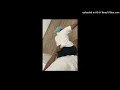 Download Lagu lio \