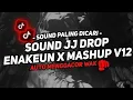 Download Lagu DJ DROP VIRALL 2025 TREND X MASHUP SOUND JJ KANE COCOK BUAT DI MOBIL FULL BASS VIRAL TIKTOK TERBARU 