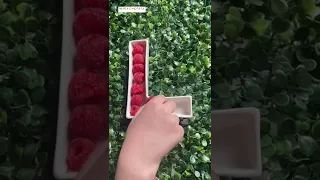 صوفيا زعلانة  ١٠٠ ألف مشترك ٥ اصفار او ٦             دندنها