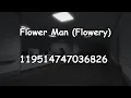 Peak Roblox Music IDs Sound Code IDs 2026