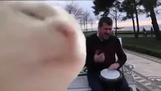 Dancing Cat قط منطرب 