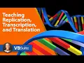 Teaching Replication Transcription and Translation Visible Body