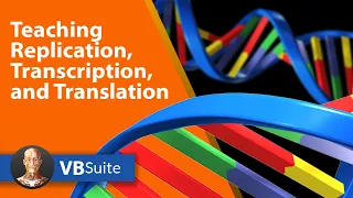 Teaching Replication Transcription and Translation Visible Body