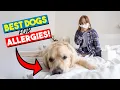 Best Hypoallergenic Dog Breeds for People with Severe Allergies