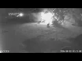 Honking hero Goose alerts Fort Bend County family about fire at their barn
