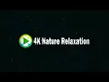 Relaxing Cosmic Vibes 🌌 Starry Nights in 4K, Deep Sleep Music