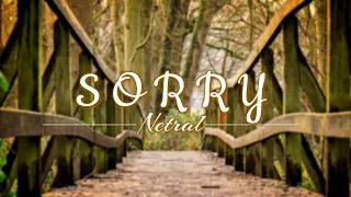 Download Netral - Sorry (Lyric) MP3