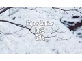 Download Lagu [KAN/ROM/ENG] SUPER JUNIOR-D\u0026E | Gift Lyrics
