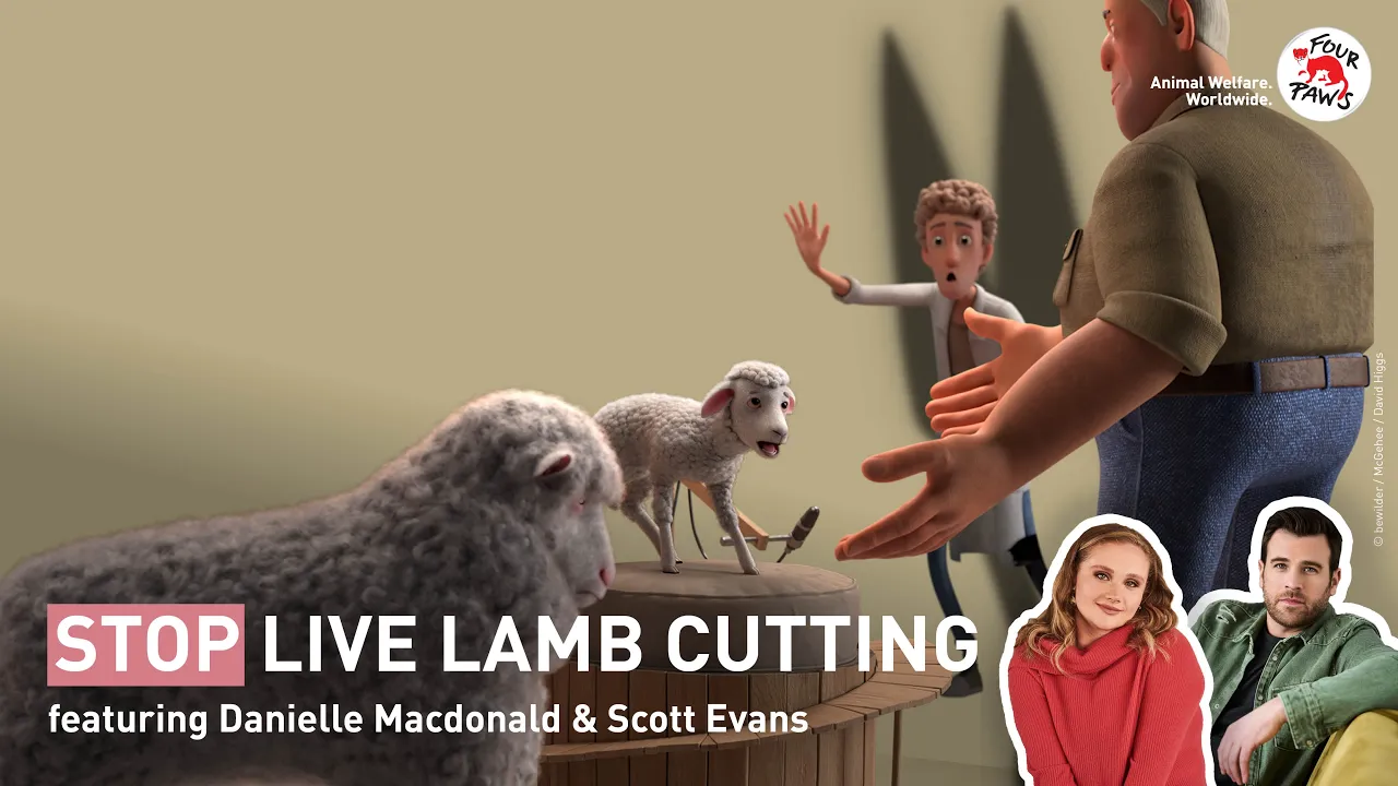 Four Paws - Live Lamp Cutting Campaign