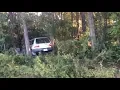 Bluffton car crash ends in line of trees