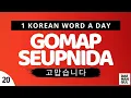Download Lagu GOMAPSEUMNIDA | WORD NO. 20 | LEARN ONE KOREAN WORD A DAY | DAE-HANGUL