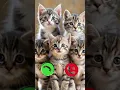 Download Lagu Mi calling ringtone 🤙🤙😎😎 #ringtone #smartphone #tech #ringtones #duet #cat