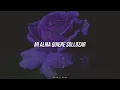 Quién de Los Dos Será - Diego Verdaguer (Letra)