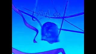 إعلان ألبوم يا طيبة فرقة طيور الجنة 1428 هـ 2007 م Toyor Al Janah In Mari Group S Chorded 