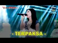 Download Lagu TERPAKSA - TIARA AMORA - OM SAVANA SAKJOSE - THE BOY MAHARDIKA