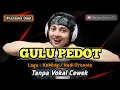 Download Lagu Gulu pedot - karaoke duet tanpa vokal cewek dangdut koplo