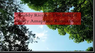 roddy ricch the box dj gwaty amapiano remix 