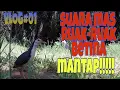 Download Lagu ruak-ruak suara mas..MANTAP