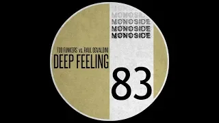 foo funkers raul osvaldini deep feeling extended mix 
