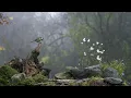 🔴24/7 LIVE Cat TV 😺 Birds In The Mist