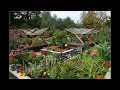 Backyard vegetable garden design ideas