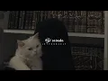 Download Lagu abeer nehme - Bi saraha (slowed + reverb)
