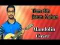Tum Bin Jaaun Kahan | | Mandolin Cover