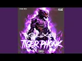 Tiger Phonk