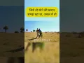 Download Lagu सोने की खदान, असल में |movies|new movies|new hindi movies|hindi dubbed movies|best movies|all movies