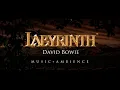 Labyrinth (1986) | Ambient 🔮🎧