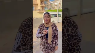 شوفت الفار السندق 