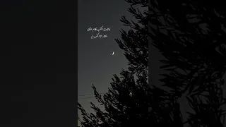 ظلموكي لما قالوا انك للقمر شبيه 