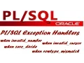 How to Handle PL SQL Exceptions in Oracle