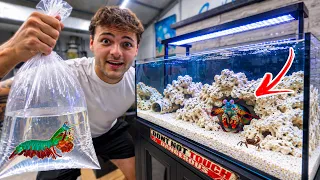 Ordering MOST DANGEROUS CREATURE for My NEW TANK!!