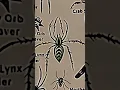 Download Lagu TYPES OF SPIDERS|GREEN LYNX SPIDER|PART-16|#creature#spider @LIKEMYTH